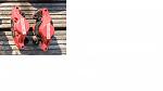 Click image for larger version

Name:	Calipers rear.jpg
Views:	0
Size:	160.7 KB
ID:	12958