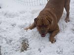 Click image for larger version

Name:	GYPSY SNOW1.jpg
Views:	0
Size:	38.7 KB
ID:	2204