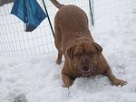 Click image for larger version

Name:	GYPSY SNOW2.jpg
Views:	0
Size:	35.7 KB
ID:	2205