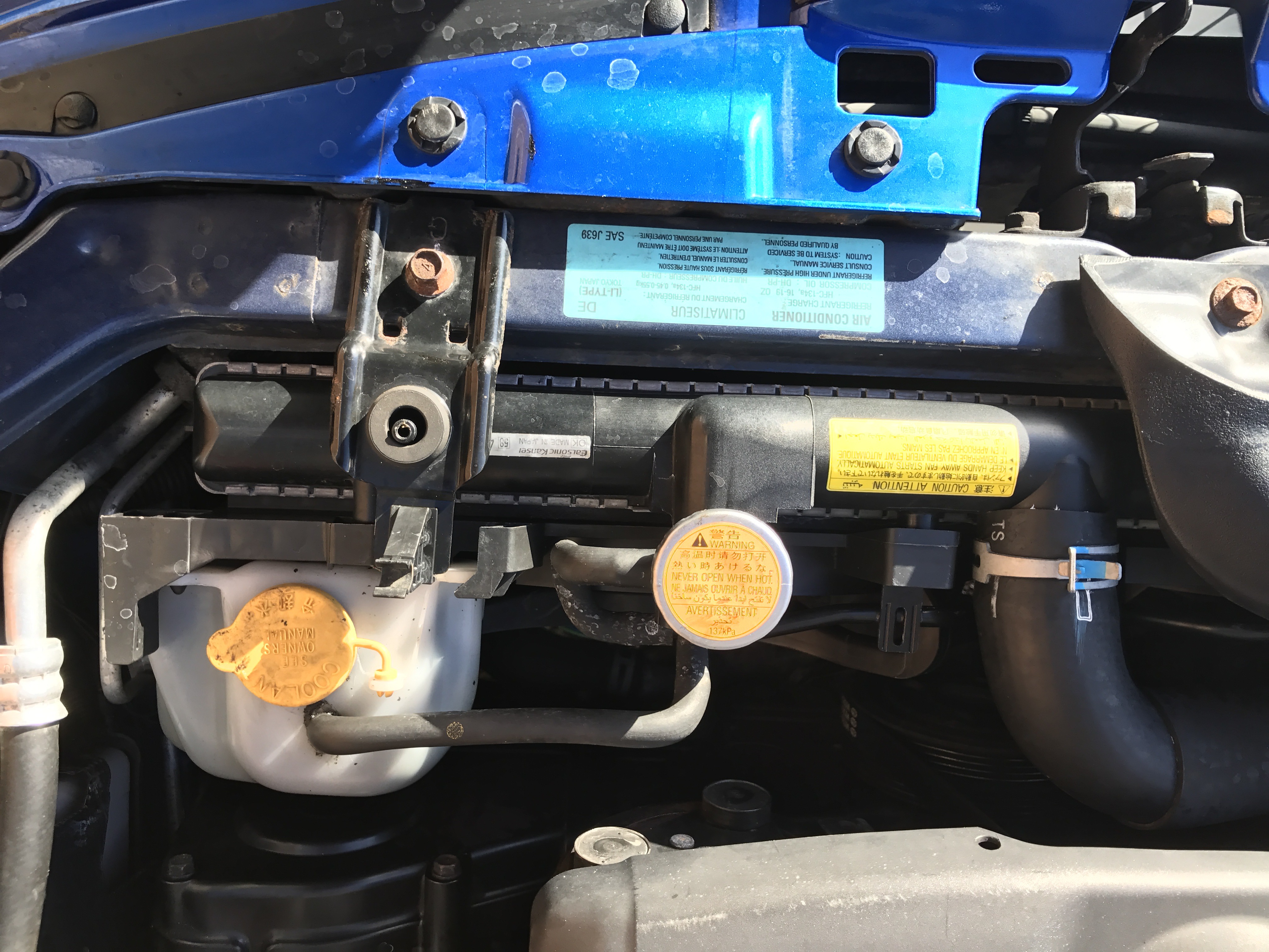 Name:  C09CC1F2-36D5-43A0-98ED-147FCDF8B255_zps2tjks5hh.jpg
Views: 0
Size:  2.11 MB