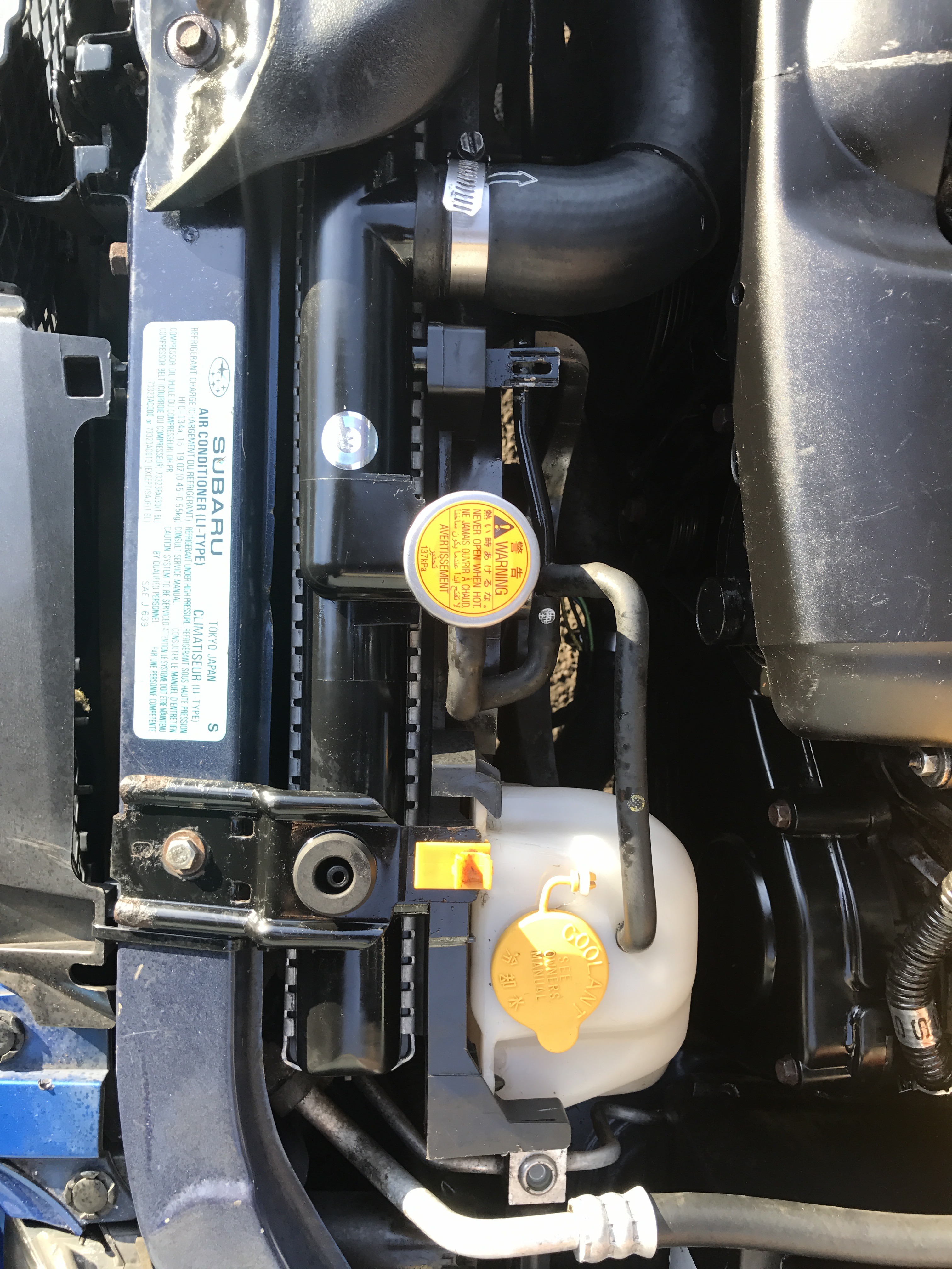 Name:  CE2EA75E-5C9E-4B53-A5B2-BB7DD575BCBE_zpskkj6wtch.jpg
Views: 0
Size:  2.31 MB