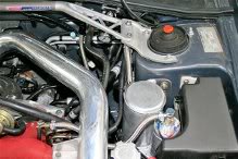 Name:  Litchfieldpotinsitu2.jpg
Views: 0
Size:  11.3 KB