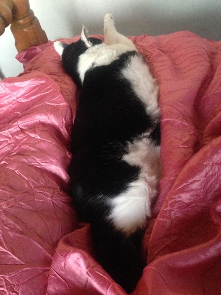 Name:  IMG_5822.jpg
Views: 0
Size:  206.0 KB