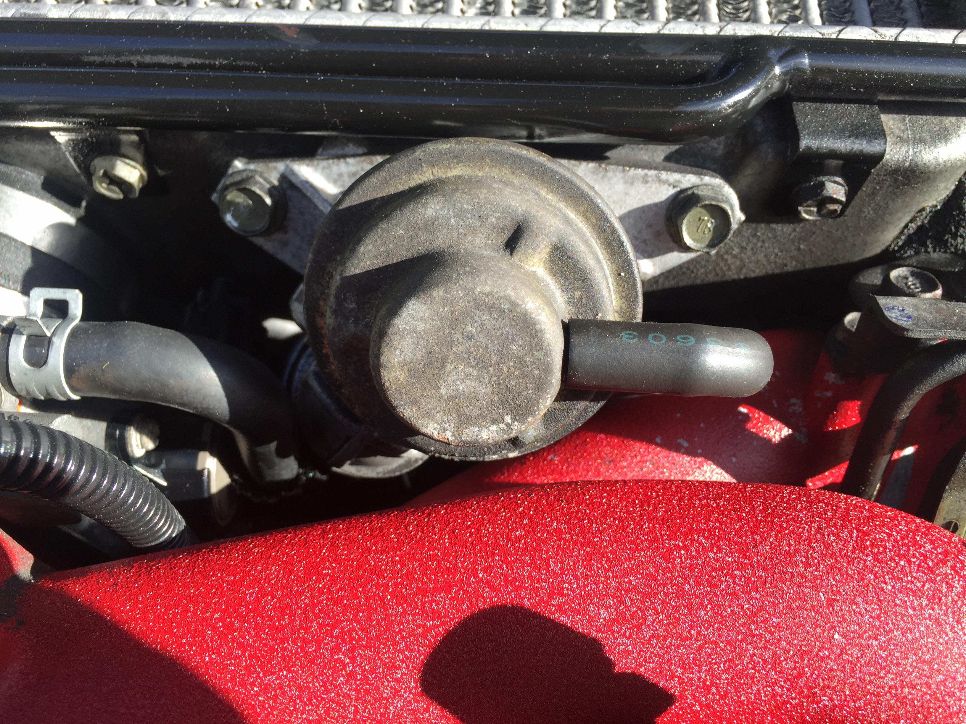 Name:  1487ADCE-B6D9-4D99-8D79-B91F5B017000_zpsv7zs2wy6.jpg
Views: 0
Size:  3.19 MB