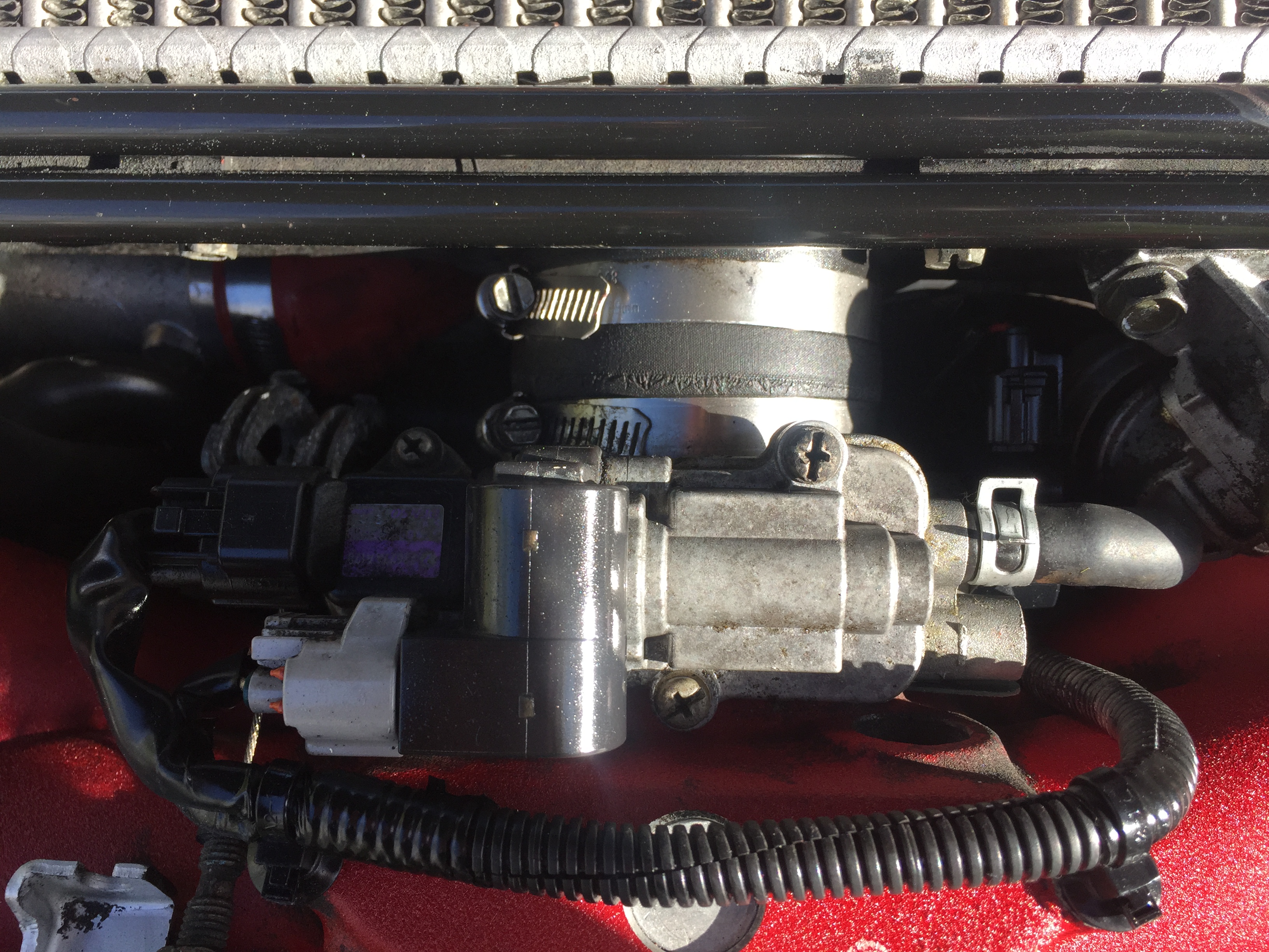 Name:  F3D99634-FCC2-4E9D-A579-E17D28A9A355_zps442gmyfu.jpg
Views: 0
Size:  2.64 MB