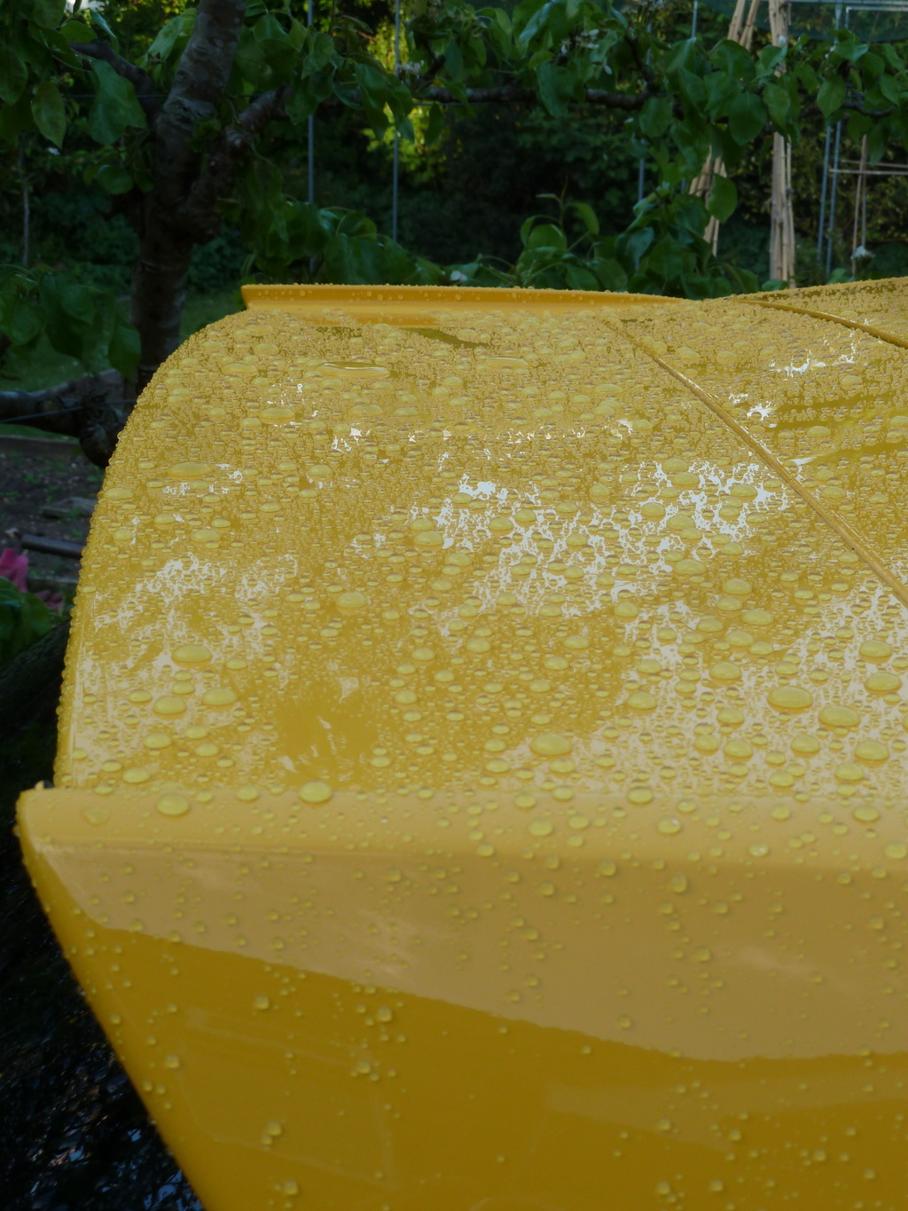 Name:  P1020651_zpszwejxpfb.jpg
Views: 0
Size:  388.9 KB