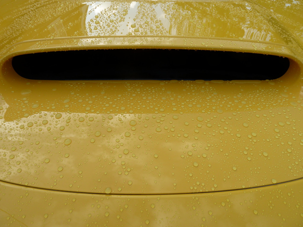 Name:  P1020646_zps0t7vten6.jpg
Views: 0
Size:  244.9 KB