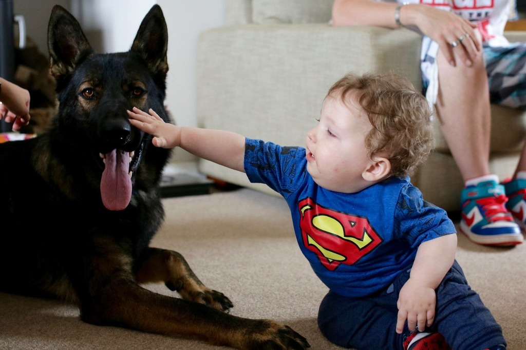 Name:  E9469AF3-9038-4C13-9D39-06BB21524286_zpsrvskq6x0.jpg
Views: 0
Size:  160.6 KB