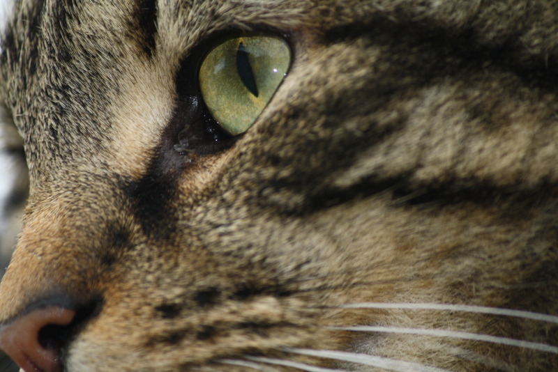 Name:  IMG_0296_zpscbzzujlf.jpg
Views: 0
Size:  146.6 KB