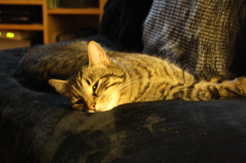 Name:  IMG_0019_zpsaaozzgjc.jpg
Views: 0
Size:  121.5 KB