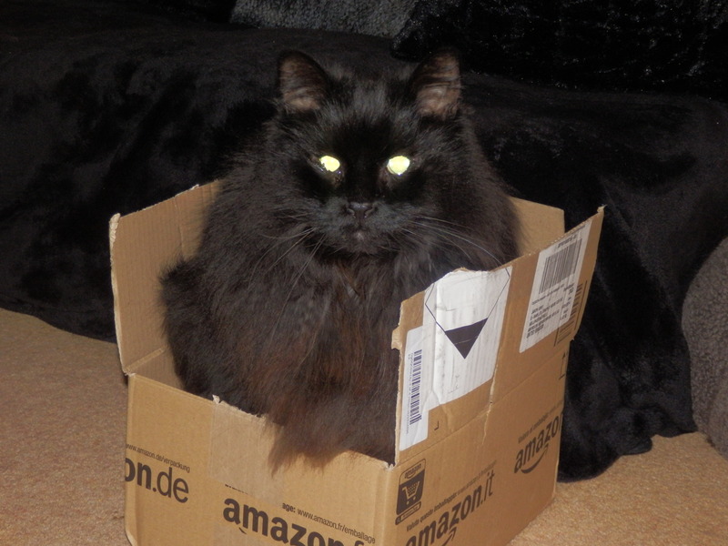 Name:  P1160005_zpsjtep1dy5.jpg
Views: 0
Size:  139.9 KB