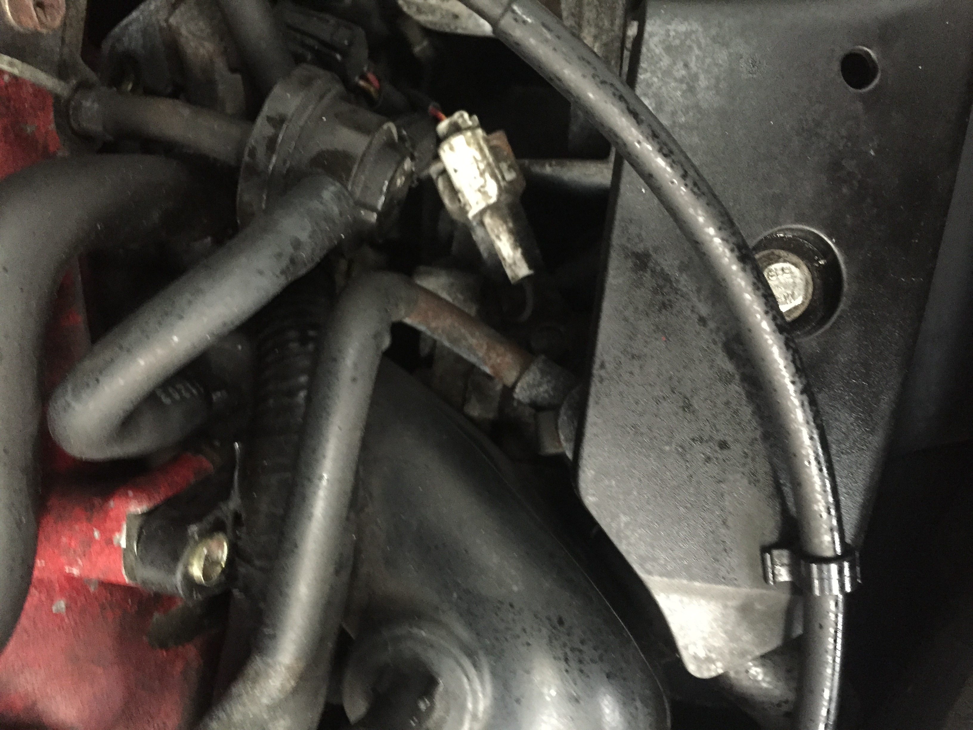 Name:  AFA8FBAE-F0E1-441D-BF1A-F4F623D87CEE_zps36pt0seu.jpg
Views: 0
Size:  1.43 MB