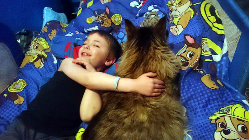 Name:  12036489_10157063540055128_5103133502323903430_n_zps0n0nda0r.jpg
Views: 0
Size:  185.7 KB