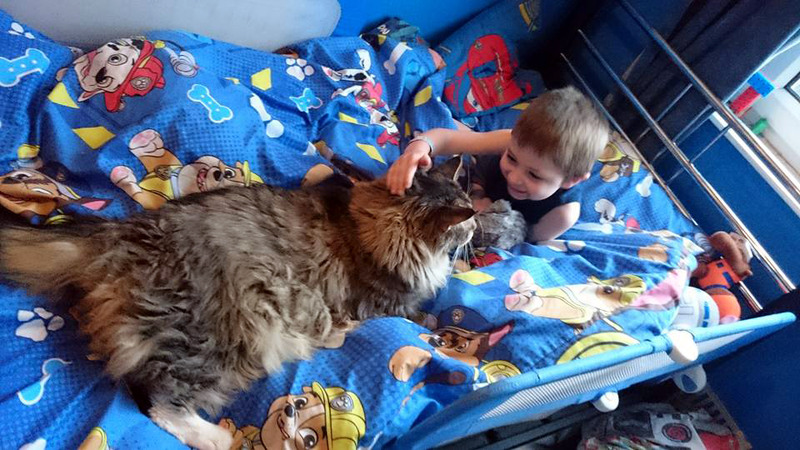 Name:  13094280_10157063540310128_371713854891201685_n_zps1zpmqkuj.jpg
Views: 0
Size:  190.8 KB