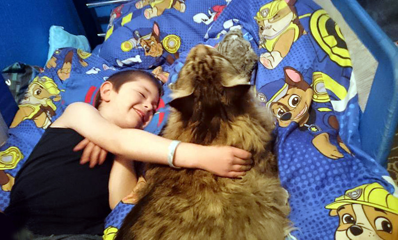 Name:  13221522_10157063540125128_1783809291656238119_n_zps5waxsjb5.jpg
Views: 0
Size:  187.3 KB