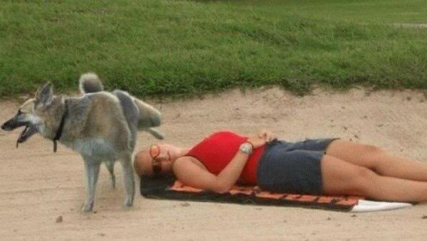 Name:  dogpee.jpg
Views: 0
Size:  30.7 KB