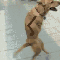 Name:  h4q5U8j.jpg_zpsd4kazmk1.gif
Views: 0
Size:  808.3 KB
