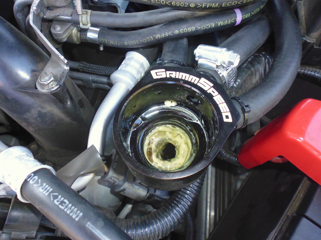 Name:  P1000874_zpsvvxtrabz.jpg
Views: 0
Size:  245.5 KB