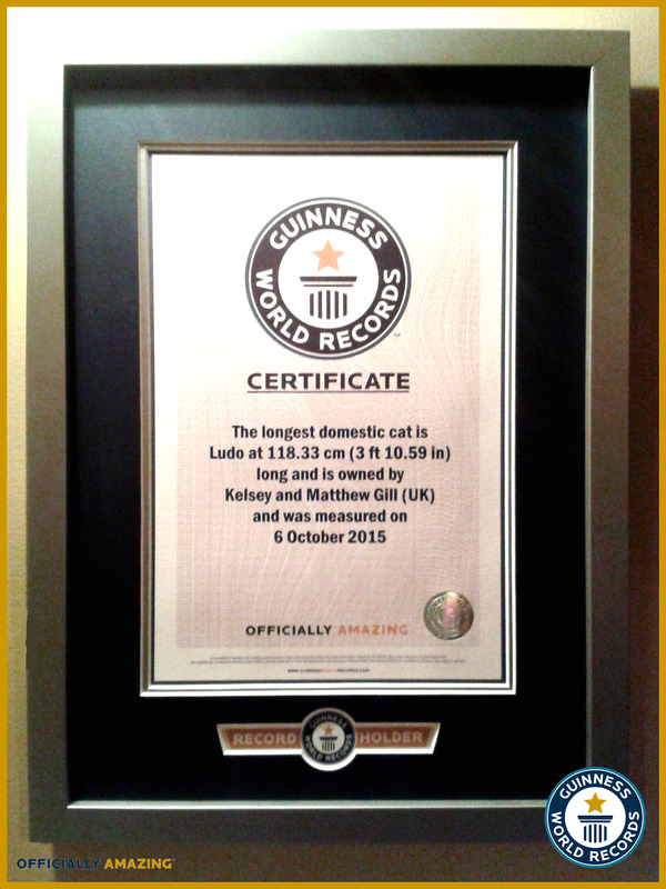 Name:  wro4_zps9g8deqjn.jpg
Views: 0
Size:  181.3 KB