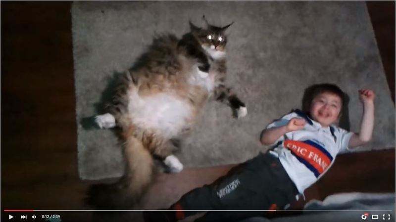 Name:  ssss_zpsqepnimlq.jpg
Views: 0
Size:  40.3 KB