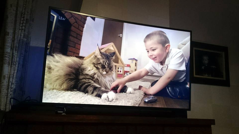 Name:  lud2_zpsttc8ezxx.jpg
Views: 0
Size:  95.9 KB