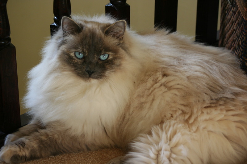 Name:  IMG_5379_1.jpg
Views: 0
Size:  112.4 KB