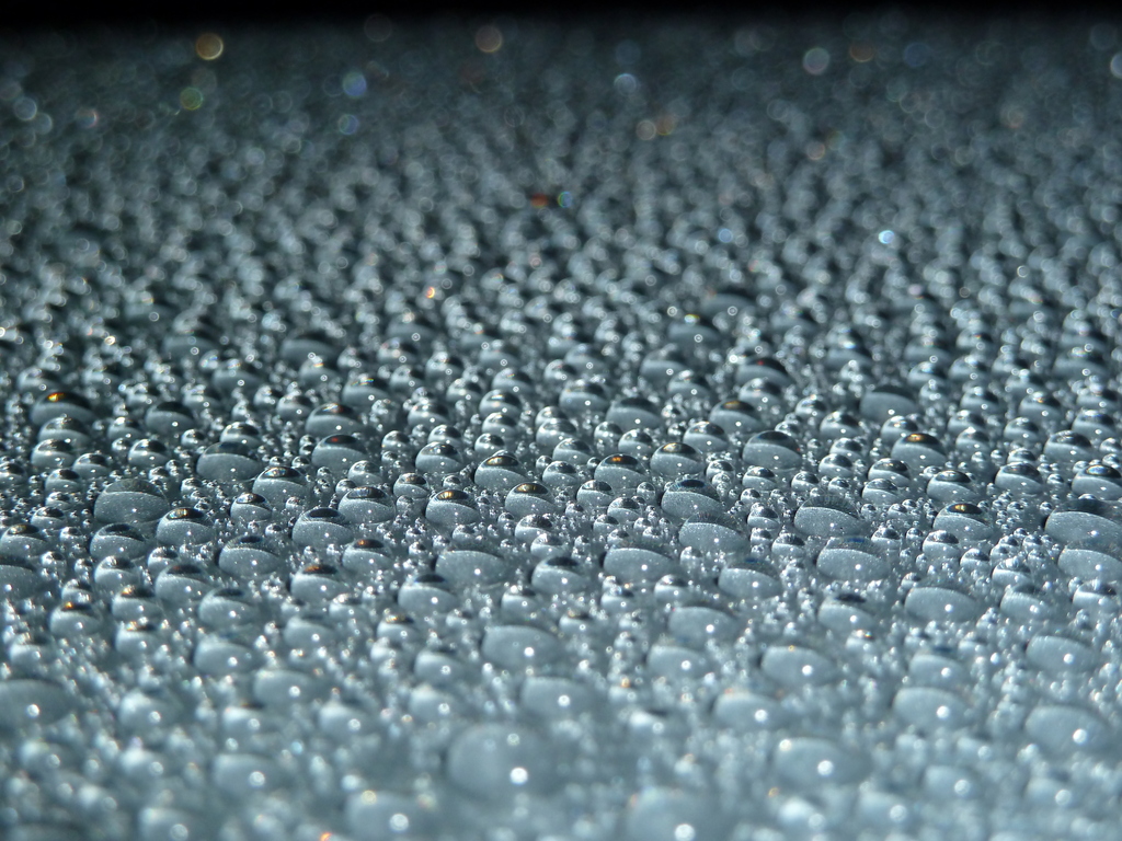 Name:  P1020467_zps6iil8c6k.jpg
Views: 0
Size:  483.3 KB