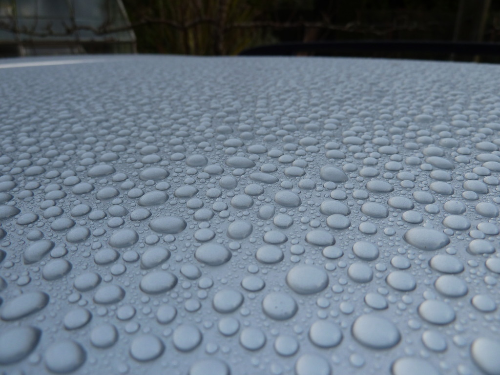 Name:  P1020469_zpsnhpc7wmv.jpg
Views: 0
Size:  198.1 KB