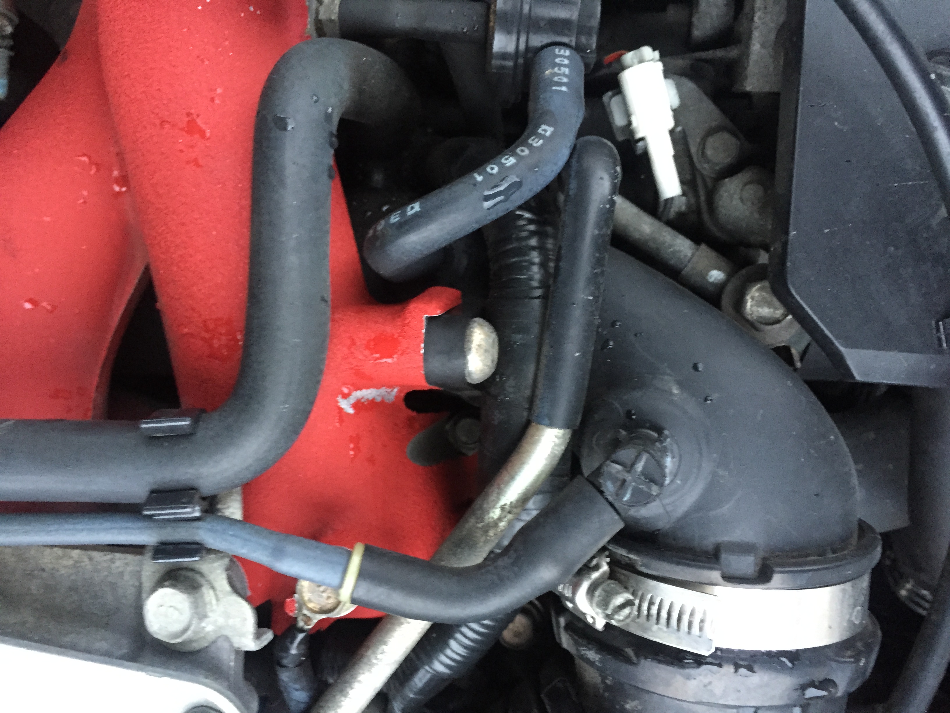 Name:  3FC5E355-E331-4221-807F-13DBBCFC8ED4_zpshdtrl0fm.jpg
Views: 0
Size:  1.41 MB