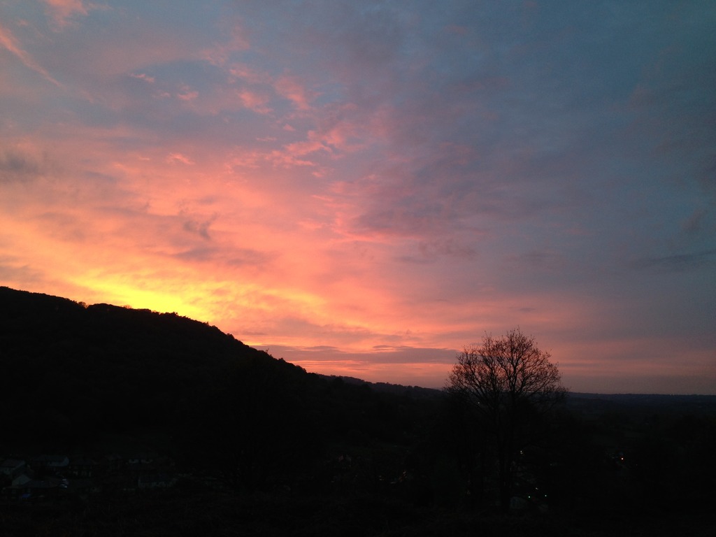 Name:  IMG_2576.jpg
Views: 0
Size:  95.4 KB