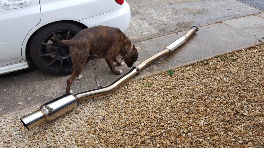 Name:  20151010_092342_zpskdsmcjqv.jpg
Views: 0
Size:  431.0 KB