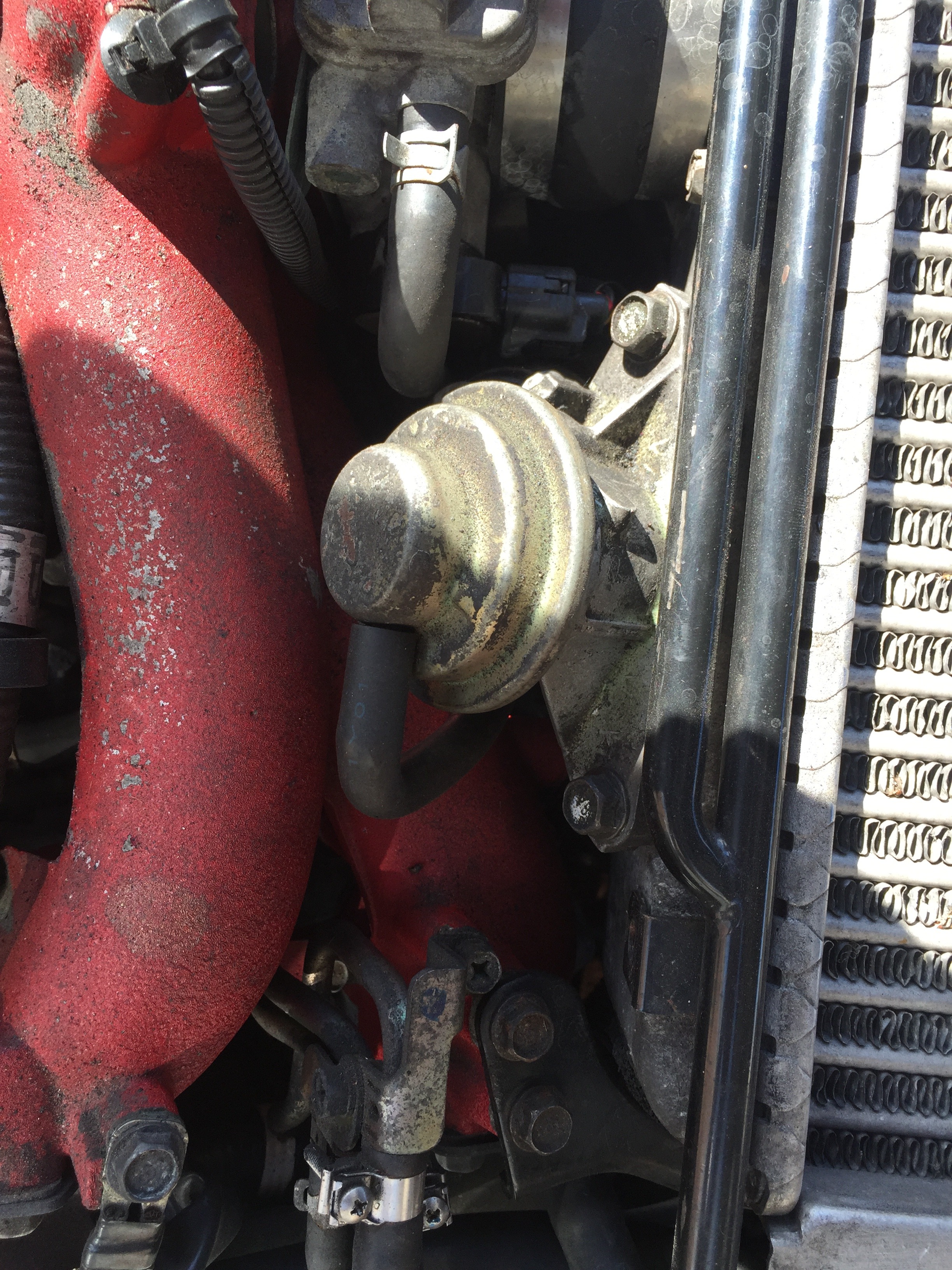 Name:  BA8D9F14-8014-48A1-92F9-948651A1DD83_zpstaffhqyd.jpg
Views: 0
Size:  2.40 MB