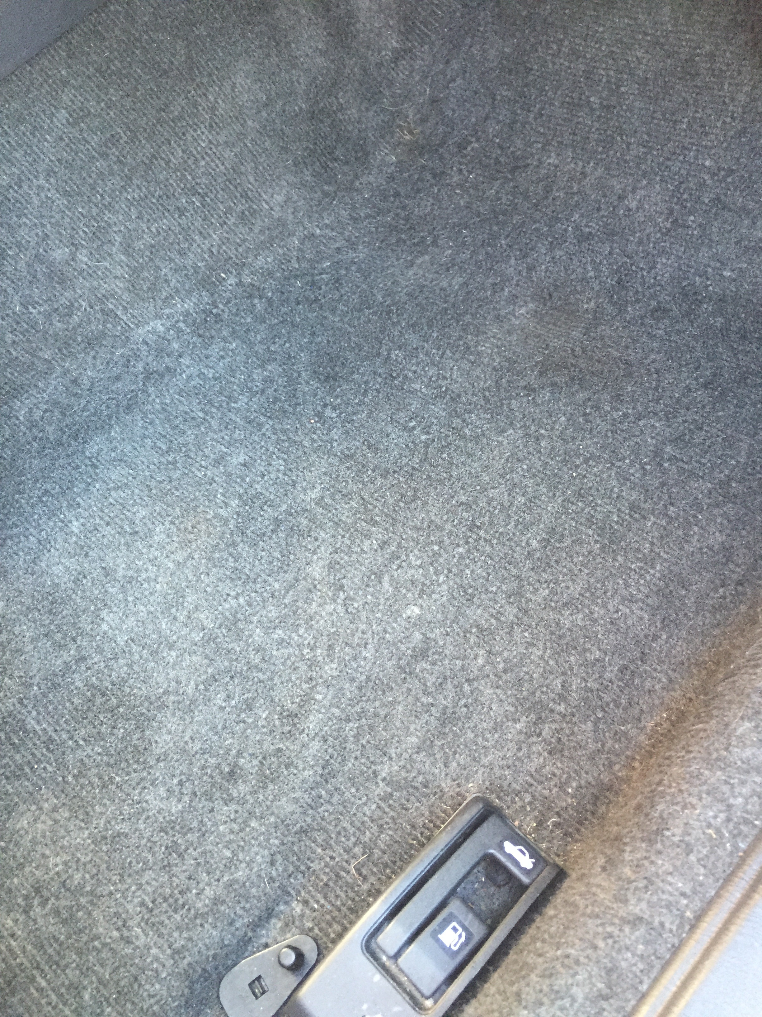 Name:  F0E4CC95-B105-4AEB-9FDD-38F287353680_zpstmtw0lzv.jpg
Views: 0
Size:  2.82 MB