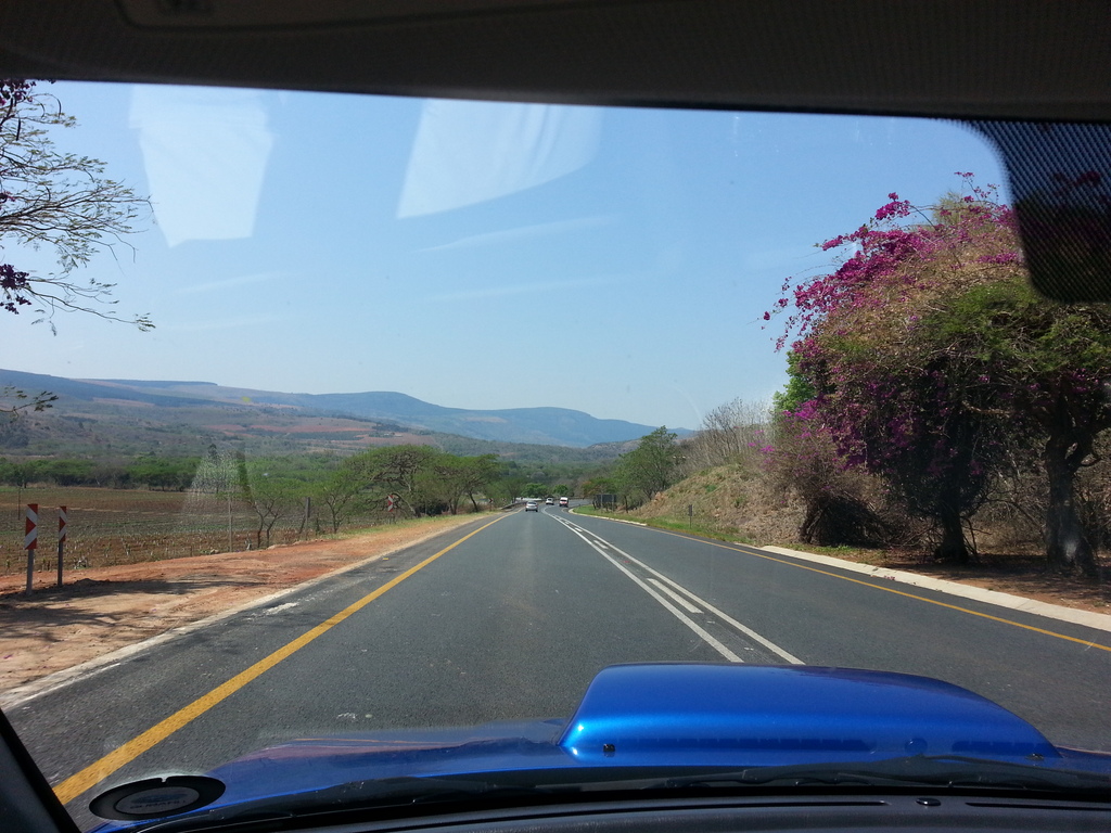 Name:  20150924_120124_zps3lilwf6q.jpg
Views: 0
Size:  340.7 KB