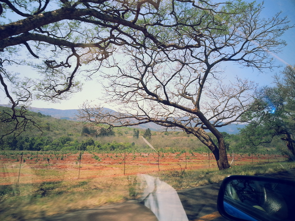 Name:  20150924_120417_zpsdpnsxr6m.jpg
Views: 0
Size:  495.6 KB