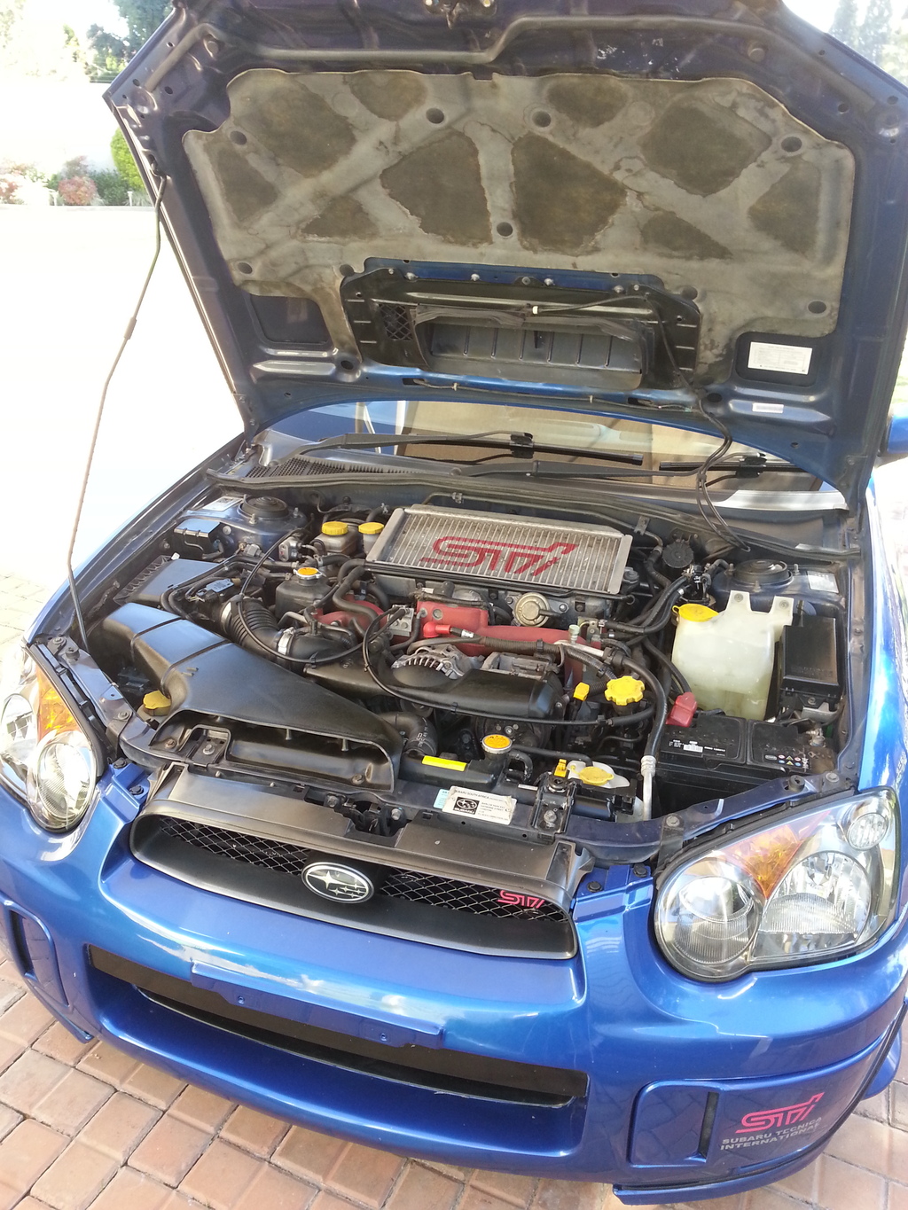 Name:  20140608_100724_zps3crel4fi.jpg
Views: 0
Size:  623.9 KB