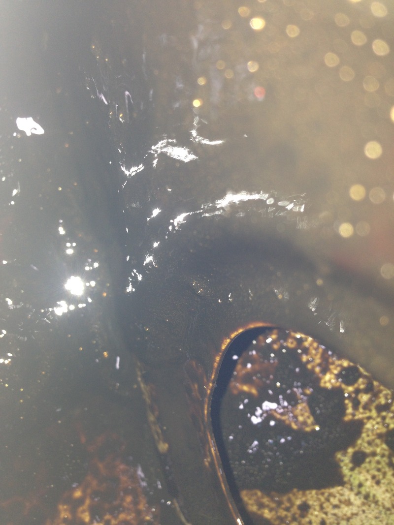 Name:  6A7E11E3-703F-45FC-91D0-699B76BBFC47.jpg
Views: 0
Size:  159.6 KB