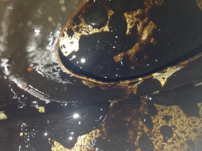 Name:  5167DA42-3210-40A6-A7FC-865D81817103.jpg
Views: 0
Size:  141.4 KB