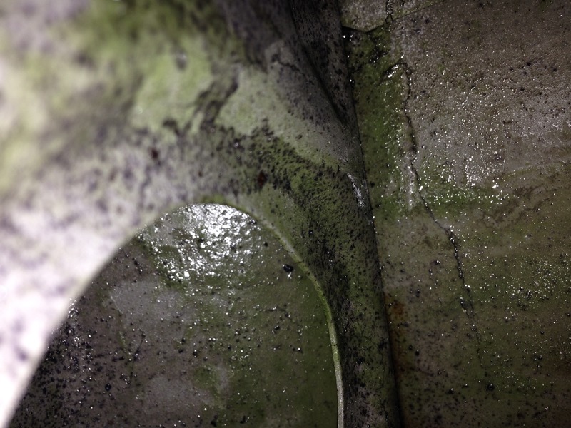 Name:  9C8584C2-6DBB-43CB-B172-60FE3A77318A.jpg
Views: 0
Size:  159.5 KB