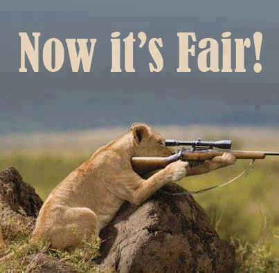 Name:  tigershooting1_zpsdcbe8433.jpg
Views: 0
Size:  23.6 KB