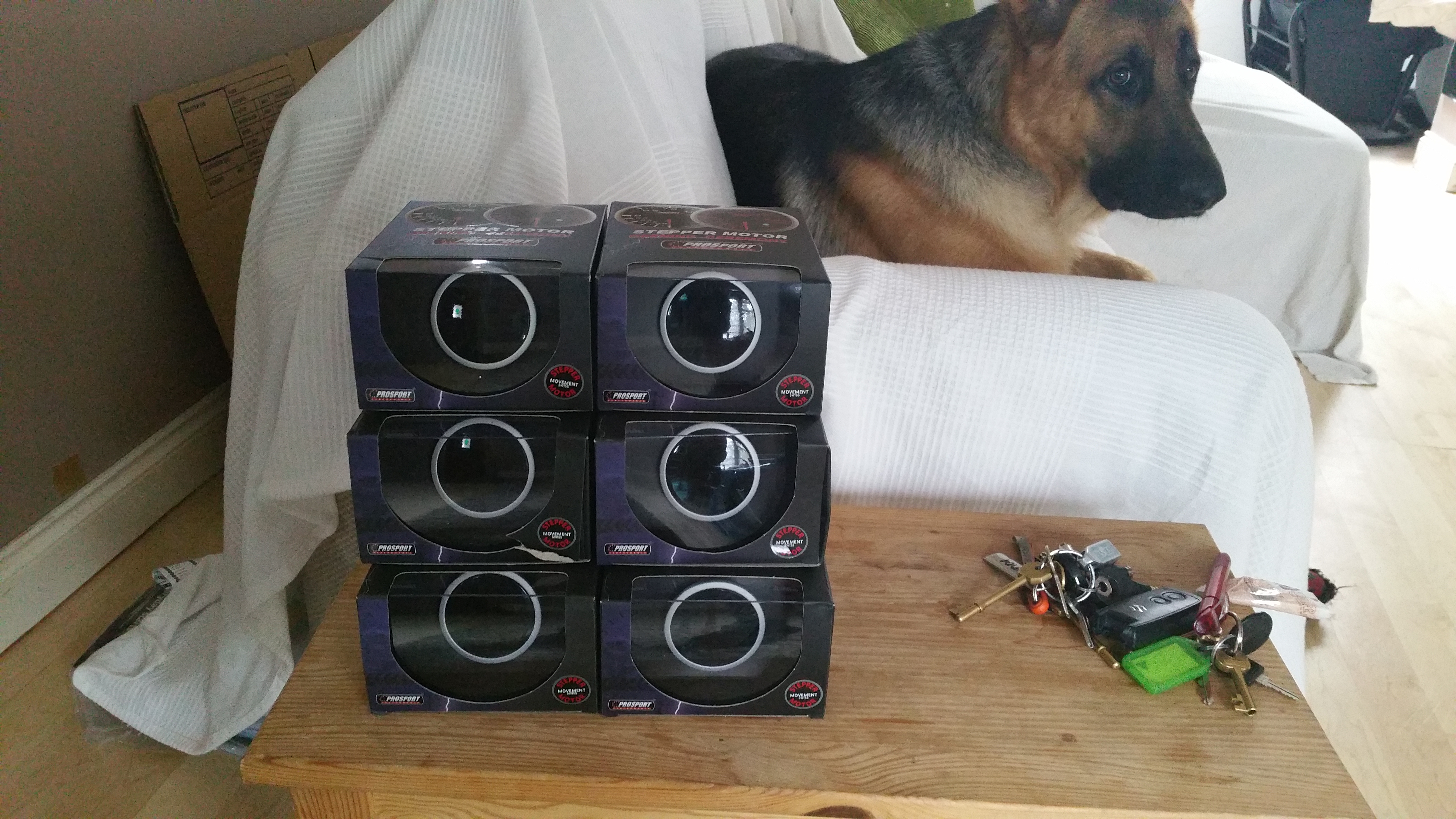 Name:  20150713_142150_zpswhybhazt.jpg
Views: 0
Size:  4.76 MB