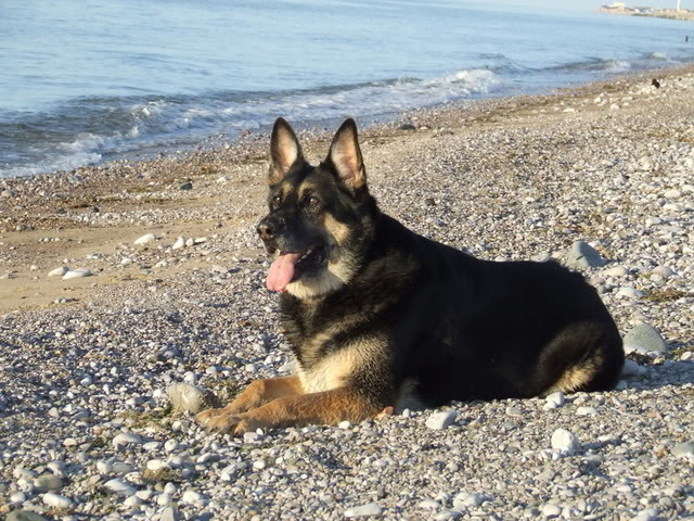 Name:  bob012.jpg
Views: 0
Size:  117.3 KB