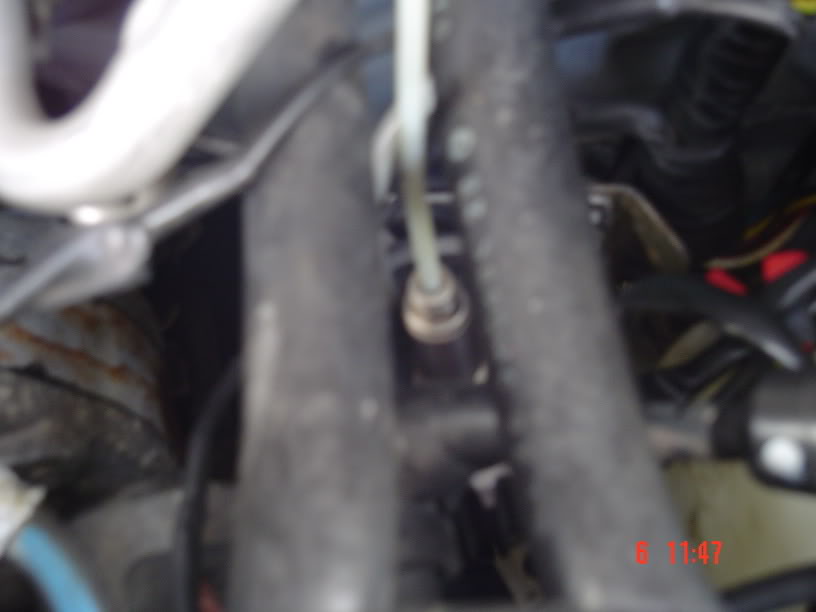 Name:  Scooby001.jpg
Views: 0
Size:  33.6 KB