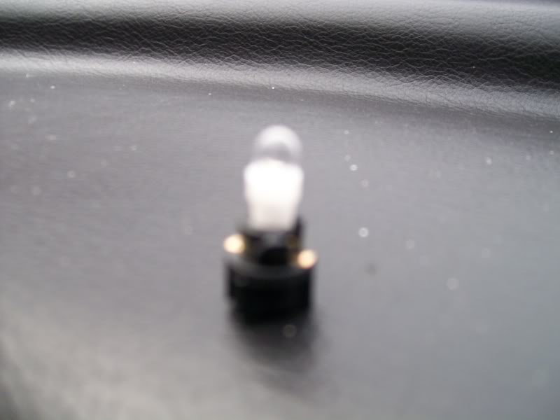 Name:  2007_0916bulb0004.jpg
Views: 0
Size:  37.5 KB