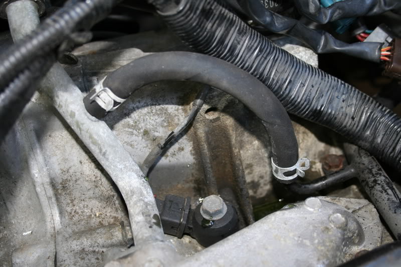 Name:  IMG_4713.jpg
Views: 0
Size:  90.5 KB