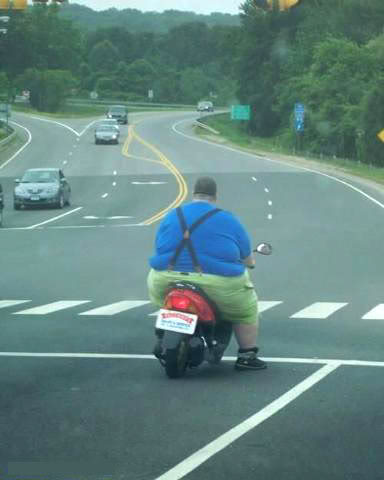 Name:  fat_guy_moped1.jpg
Views: 0
Size:  21.8 KB