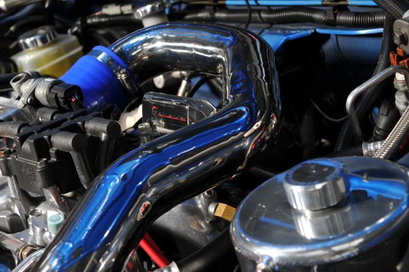 Name:  DSC_1070.jpg
Views: 0
Size:  77.8 KB