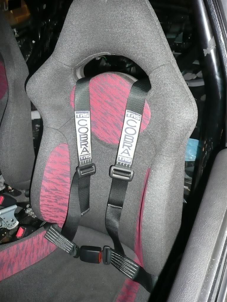 Name:  P1030995Large.jpg
Views: 0
Size:  130.3 KB