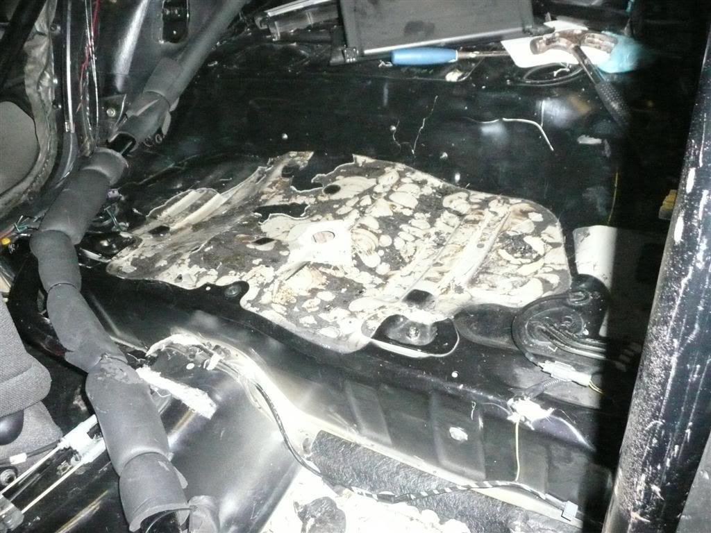 Name:  P1030997Large.jpg
Views: 0
Size:  140.5 KB