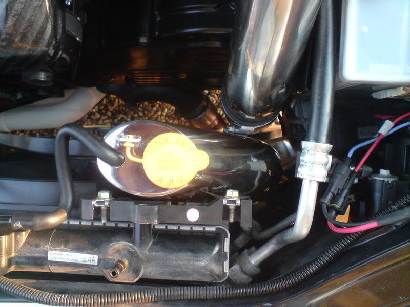 Name:  DSC00314.jpg
Views: 0
Size:  98.1 KB